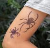 Temporary Tattoos - Spiders