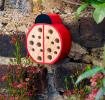 Wooden Ladybird Hotel