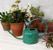 Metal Watering Can 1ltr - Dark Green