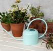 Metal Watering Can 1ltr - Sky Blue