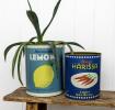 Large storage tins (set of 2) - Lemons and Harissa