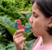Wooden bird whistle - Assorted