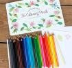 36 colouring pencils in a tin - Wonders of Nature