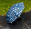 Children's push-up umbrella - Shark