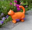 Watering can (1.5Ltr) - Cat