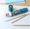 Long tube of colouring pencils - Fairies in the Garden