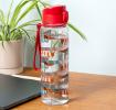 Drinks bottle with push button lid 700ml - Sausage dog