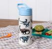Stainless steel bottle with push button lid 500ml - Dinosaur