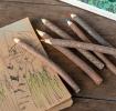  Twig coloured pencils (set of 6)