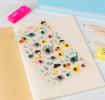 3D stickers - Elephant Rain Party