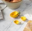 Ceramic measuring spoons (set of 4) - Lemons