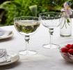 Etched star coupe glasses (set of 2) - Clear