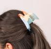 Hair claw clip - Parakeet