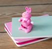 Wind-up jumping animal toy - Bunny
