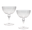 Vintage etched coupe glasses (set of 2) - Clear