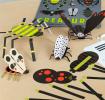 Colourful paper-crafted insects model lifestyle