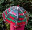 Transparent umbrella with red trim and cherry pattern