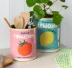 Two large lemon and tomato tins used as utensil holder and plant pot.