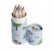 Set Of 12 Mini Woodland Design Colouring Pencils