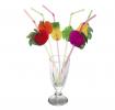 Pack Of 6 Large Fruit Straws