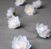 La Petite Rose String Of 9 Led Lights