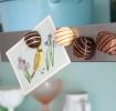 Set Of 4 Chocolate Fridge Magnets