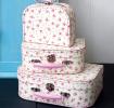 La Petite Rose Cases (set Of 3)