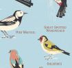 Garden Birds Wrapping Paper (5 Sheets)