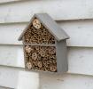 Bee Hotel