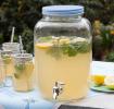 Garden Party Lemonade Drinks Dispenser