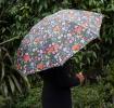 Midnight Garden Ladies Umbrella