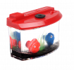 Magic Aquarium