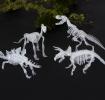 Assorted Dinosaur Skeleton Kit