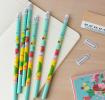 World Map Hb Pencils (set Of Six)