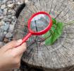 Wonders Of Nature Magnifying Glass