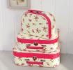 Set Of 3 Rose Mini Suitcases