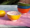 Yellow Ceramic Flamenco Bowl