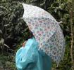 Children'S Rambling Rose Umbrella