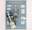 Anatomical Skeleton 300 Piece Puzzle In A Tube