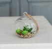 Artificial ' Cactus In Glass ' Kenwood