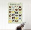 5 Sheets Of Butterflies Wrapping Paper