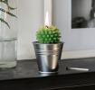 Cactus Candle In Tin