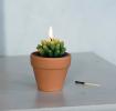 Cactus Candle In A Pot