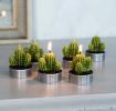 Cactus Tea Lights (set Of 6)