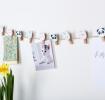 Miko And Friends Wooden Pegs (string Of 10)