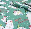 Christmas Wonderland Wrapping Paper (5 Sheets)