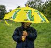 Harry The Crocodile Children'S Umbrella