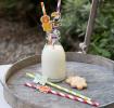 Colourful Creatures Party Straws