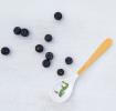 Harry The Crocodile Melamine Spoon