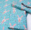 Daisy The Rabbit Wrapping Paper (5 Sheets)